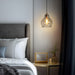 LNC - HA05076 - One Light Pendant - Brass/Smoky Grey Glass