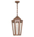 Meyda Tiffany - 264597 - One Light Pendant - Corum - Rust,Antique