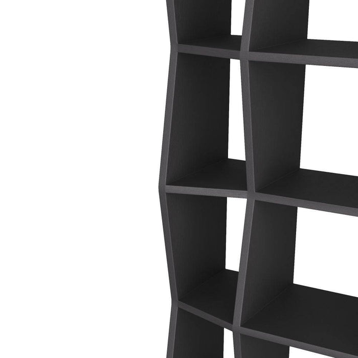 Arteriors - FGS03 - Bookcase - Belen - Ebony