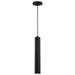 Nuvo Lighting - 62-816 - LED Pendant - Century - Matte Black