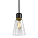 Zeev Lighting - P11708-E26-SBB-K-AGB-G16 - One Light Pendant - Zigrina - Satin Brushed Black