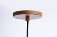 Nuvo Lighting - 62-820 - LED Pendant - Century - Ash Wood
