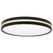 Nuvo Lighting - 62-1693 - LED Flush Mount - Matte Black