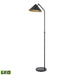 ELK Home - S0019-11158-LED - LED Floor Lamp - Timon - Matte Black