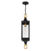 Savoy House - 5-277-144 - One Light Outdoor Hanging Lantern - Glendale - Matte Black and Weathered Brushed Brass