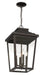 Minka-Lavery - 72175-189-C - Four Light Chain Hung - Irvington Manor - Chelesa Bronze