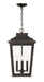 Minka-Lavery - 72175-189-C - Four Light Chain Hung - Irvington Manor - Chelesa Bronze