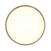Minka-Lavery - 749-2-787-L - LED Flush Mount - Flush Mount - Ashen Brass