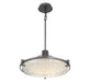 Lib & Co. - 12101-032 - LED Chandelier - Raffinato - Brushed Gunmetal