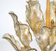 Lib & Co. - 12048-028 - 12 Light Chandelier - Brindisi - Gold Leaf