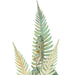 Meyda Tiffany - 272214 - One Light Wall Sconce - Fern - Verdigris On Brass