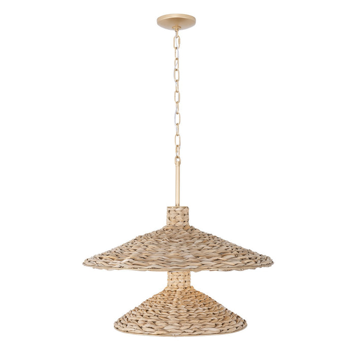 Varaluz - 502P09FGN - Nine Light Pendant - Hilton Head - French Gold/Natural Seagrass