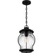 Quoizel - LHR1909EK - One Light Outdoor Wall Mount - Luther - Earth Black