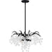 Quoizel - MAP2820EK - Four Light Pendant - Maple - Earth Black