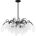 Quoizel - MAP5028EK - Six Light Chandelier - Maple - Earth Black