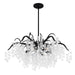 Quoizel - MAP5028EK - Six Light Chandelier - Maple - Earth Black