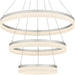 Quoizel - PCOH2932BN - LED Pendant - Cohen - Brushed Nickel