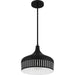 Quoizel - QP6208MBK - One Light Pendant - Quoizel Pendant - Matte Black