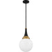 Quoizel - QP6758MBK - One Light Pendant - Quoizel Pendant - Matte Black