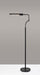 Adesso Home - 3958-01 - LED Floor Lamp - Zane - Black