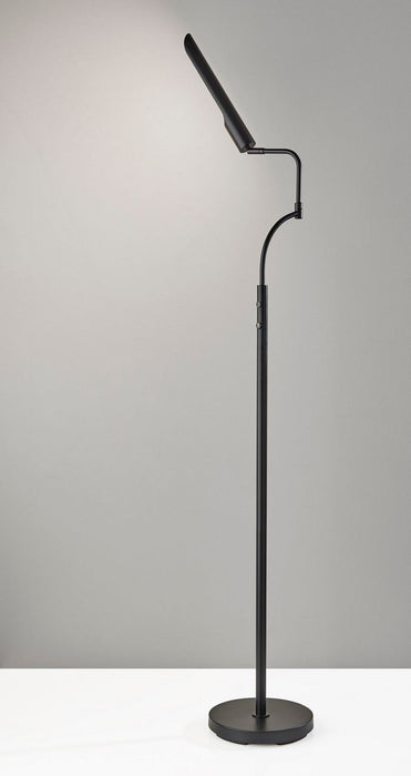 Adesso Home - 3958-01 - LED Floor Lamp - Zane - Black