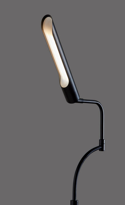 Adesso Home - 3958-01 - LED Floor Lamp - Zane - Black