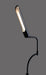 Adesso Home - 3958-01 - LED Floor Lamp - Zane - Black