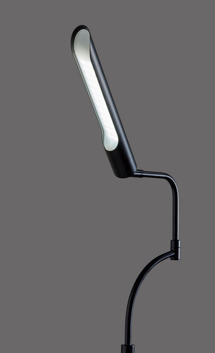 Adesso Home - 3958-01 - LED Floor Lamp - Zane - Black