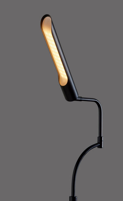 Adesso Home - 3958-01 - LED Floor Lamp - Zane - Black