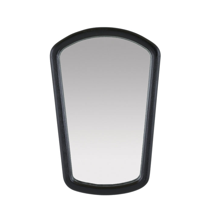 Arteriors - WMI47 - Mirror - Dyer - Ebony/Plain