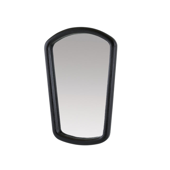 Arteriors - WMI47 - Mirror - Dyer - Ebony/Plain