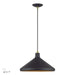 Livex Lighting - 41179-07 - One Light Pendant - Geneva - Bronze with Antique Brass