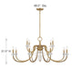 Savoy House - 1-5803-12-322 - 12 Light Chandelier - Bergdorf - Warm Brass