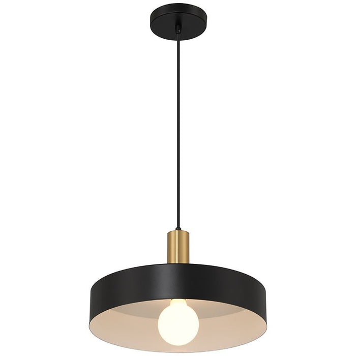 Access - 23798-BWA - One Light Pendant - Slate - Black with Antique Brushed Brass