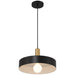 Access - 23798-BWA - One Light Pendant - Slate - Black with Antique Brushed Brass