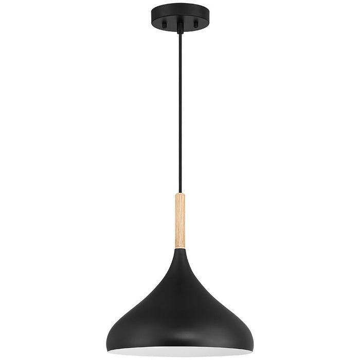 Access - 52086-BL/WGN - One Light Pendant - Olivia - Black