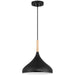 Access - 52086-BL/WGN - One Light Pendant - Olivia - Black