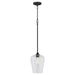 Quorum - 3313-59 - One Light Pendant - Raymond - Matte Black