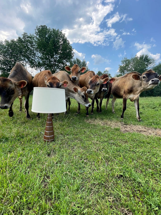 House of Troy - GS826-IR - One Light Accent Lamp - Scatchard - Iron Red