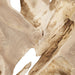 Uttermost - 04366 - Wall Decor - Terrains - Natural Bleached Blonde