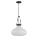 Meridian - M7046MBK - One Light Pendant - Matte Black