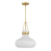 Meridian - M7046NB - One Light Pendant - Natural Brass