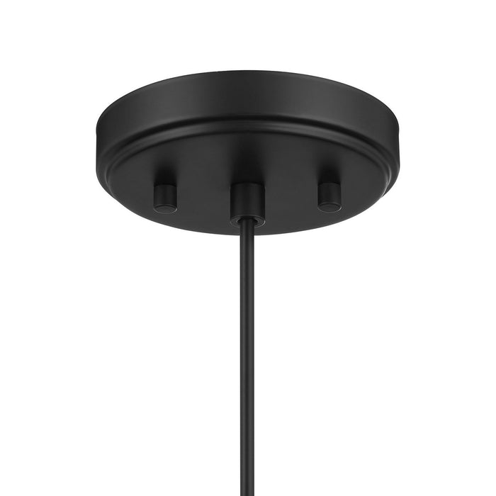 Meridian - M7049MBK - One Light Pendant - Matte Black