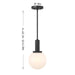 Meridian - M7050MBK - One Light Pendant - Matte Black