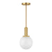 Meridian - M7050NB - One Light Pendant - Natural Brass