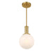 Meridian - M7050NB - One Light Pendant - Natural Brass