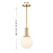 Meridian - M7050NB - One Light Pendant - Natural Brass