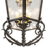 Meyda Tiffany - 279603 - 12 Light Pendant - Wolfgang - Exterior Oil Rubbed Bronze