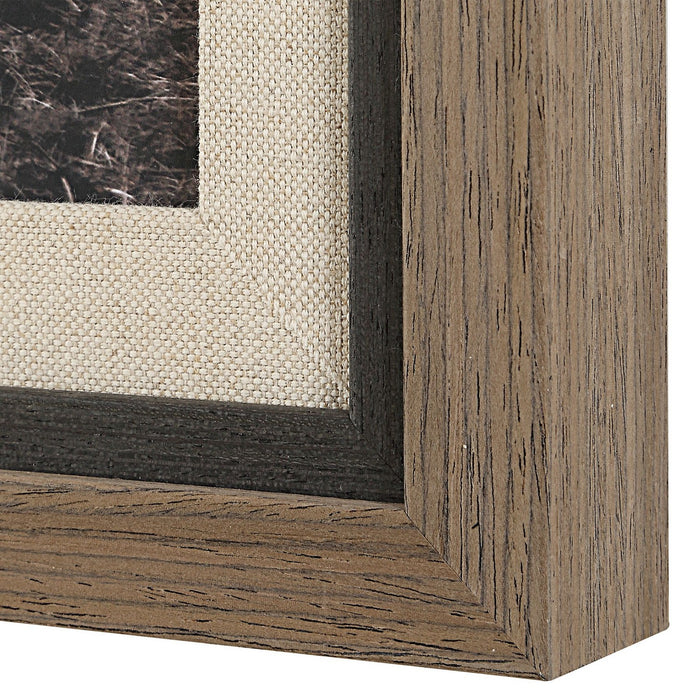 Uttermost - 32391 - Framed Print - King Of The Hill