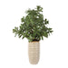 Uttermost - 60226 - Accent Plant - Crassula Jade - Textured Tan